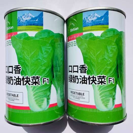 宿迁奶油快菜种子耐热耐湿大田基地用种