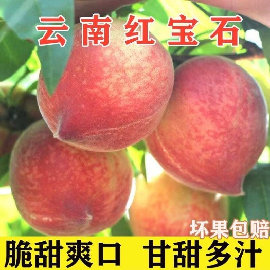 红宝石水蜜桃电商一件代发，全平台接单，主播团长均可对接