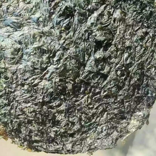 紫菜 干紫菜圈 无沙紫菜 散装紫菜