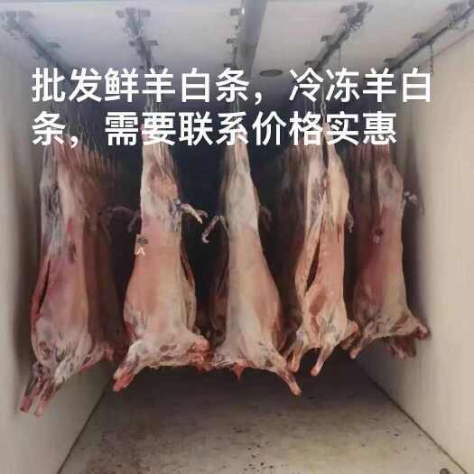 利津县常年批发羊肉，羊白条