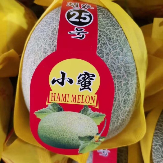 莘县晓密25