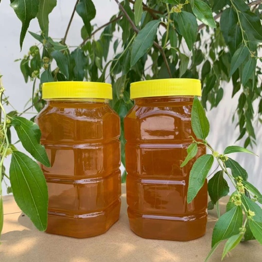 酸枣蜜 ，天然原蜜，蜂农直发