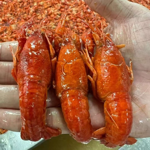 佛山鲜远鲜炸小龙虾