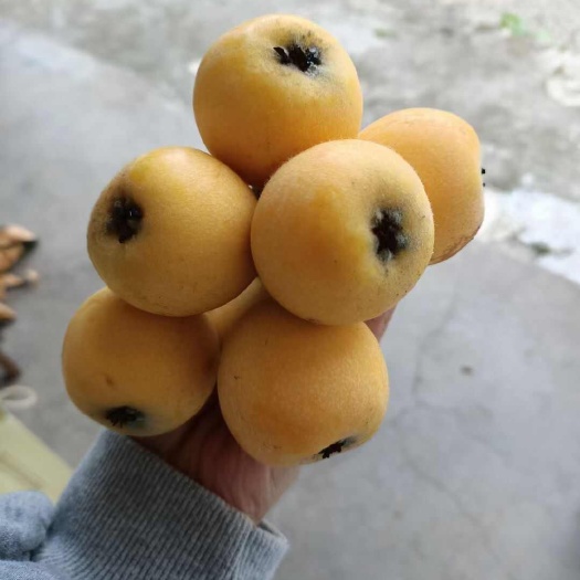 宁海县宁海一市白枇杷，，皮薄多汁