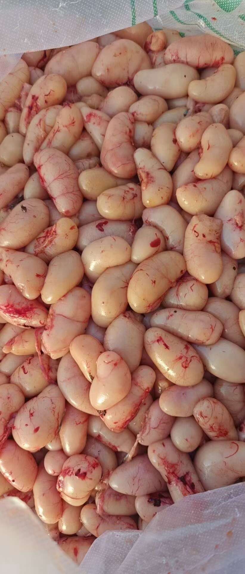 鲜冻本地鸡腰、鸡籽、公鸡蛋中号颗粒