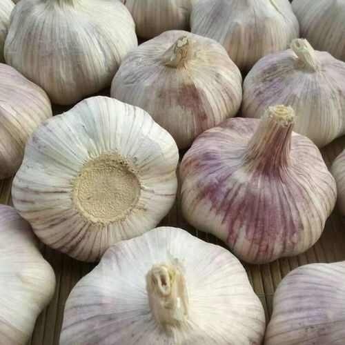 精品分级干蒜，剪杆蒜。