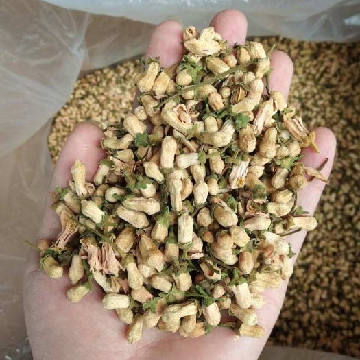 玳玳花正玳玳花散装货，支持快递物流发货