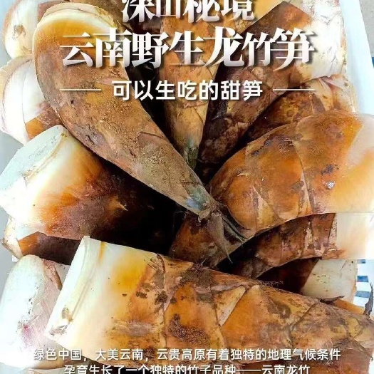 廣州云南水果甜筍可生吃清甜無(wú)渣可炒可燉可做刺身可砂鍋