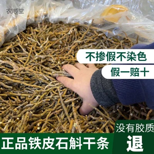 300亩浙江品种铁皮石斛干条基地直发无中间商赚取差价