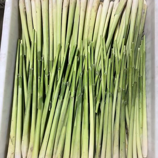 昆明精品香茅