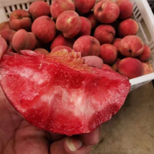邓州市杏山血桃