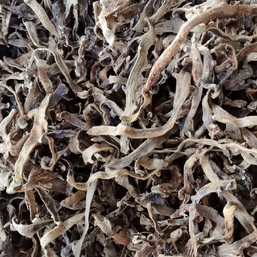 巴东县恩施巴东优质骨碎补中药材 干燥根茎