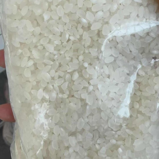 沈阳东北大米一季稻当年新米，味道好极了