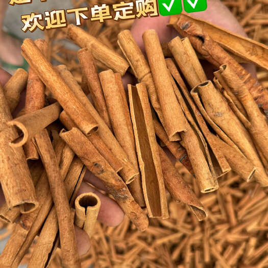 陆川县广西特产桂皮/产地一手货源烟桂/新货烟桂/统烟桂 量大可仪价
