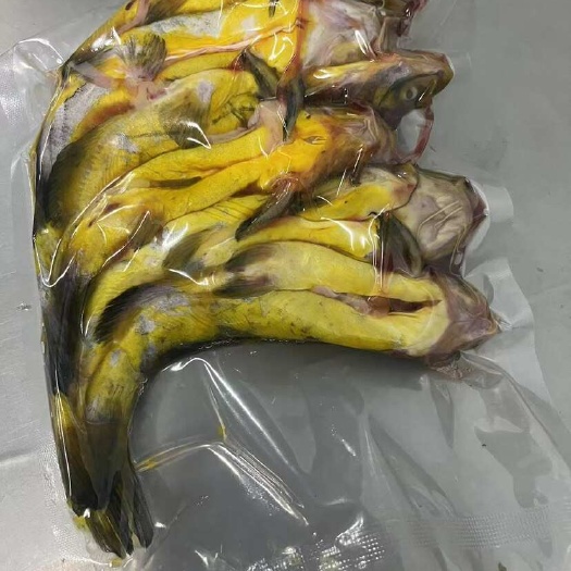 黄辣丁500克一份