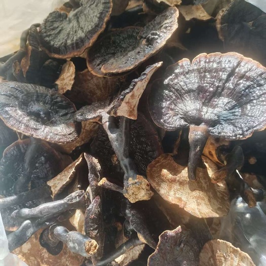 寻乌县长脚白底