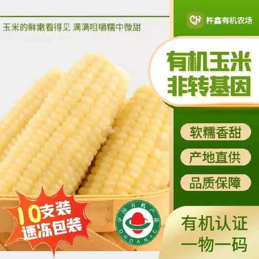 有机认证-有机速冻玉米独立包装速冻锁鲜厂家顺丰直发