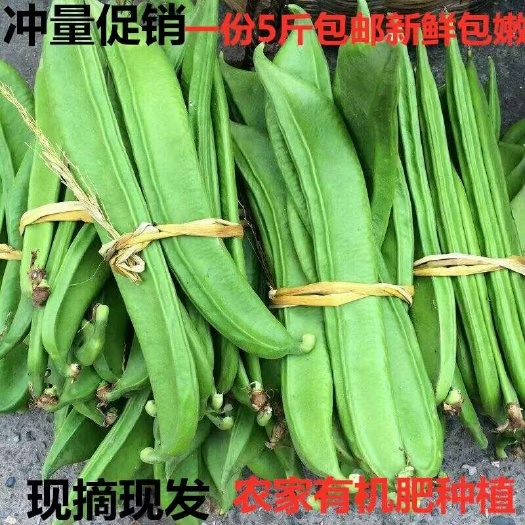 新鲜刀豆