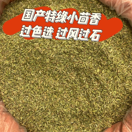 部分地区可包邮
国产绿小茴香 小茴香 有大货供应