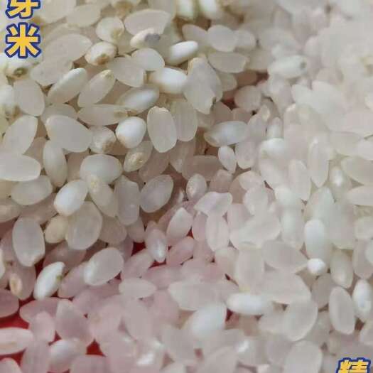 盘锦胚芽米 米的精华所在 老品种笨磨的胚芽米