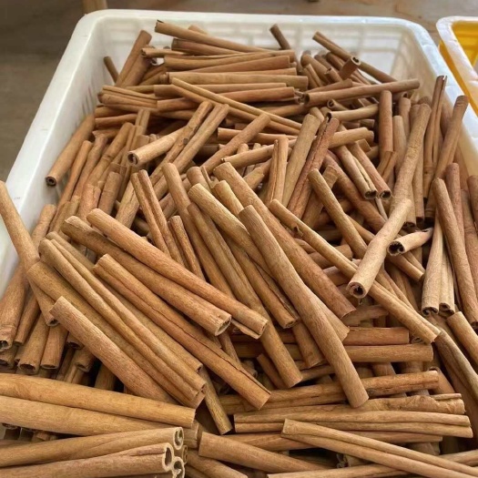 广西特产桂皮烟桂  产地一手 肉桂干度好 出口贸易，大量供货