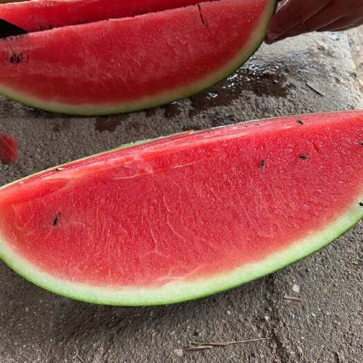 南宁黑美人