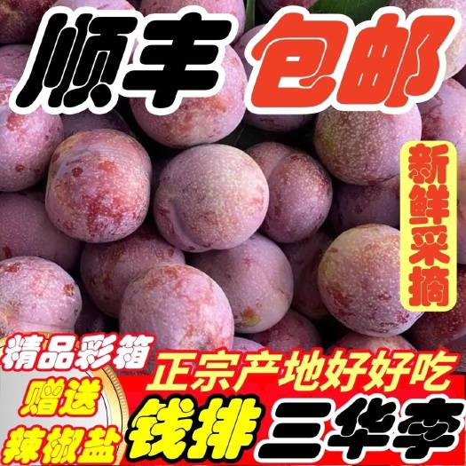 【一件代发包邮】酸脆爽口自家果园广东钱排银妃三华李农家特产
