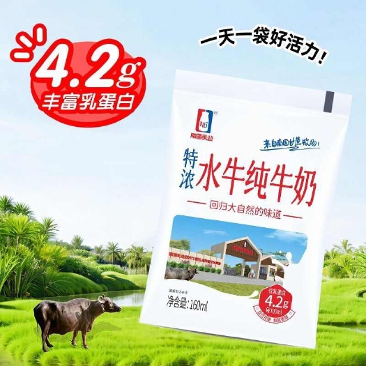 合浦县南国乳业特浓纯牛奶160ml＊12袋/箱便携袋装
