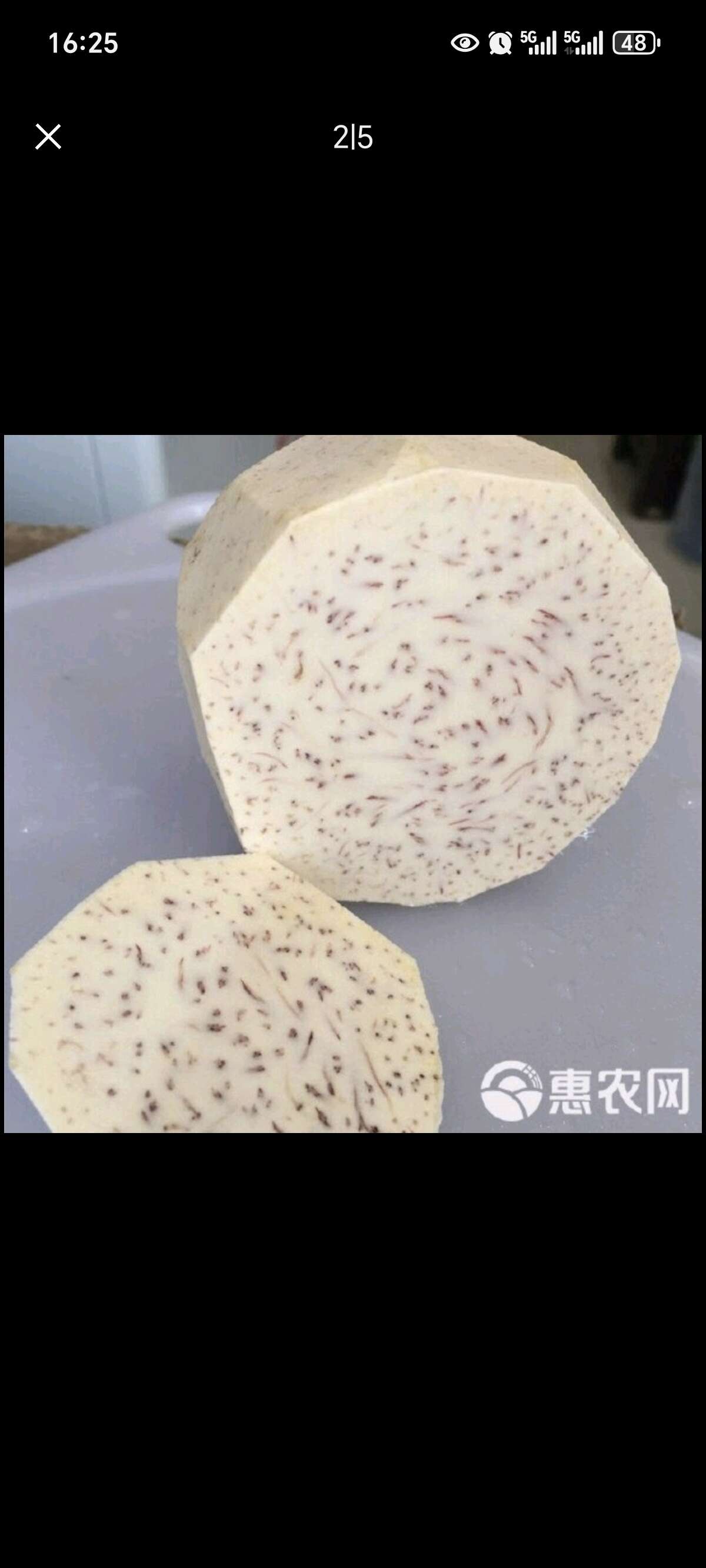 广西荔浦芋头香糯粉芋头槟榔芋单个重1.5斤到2斤