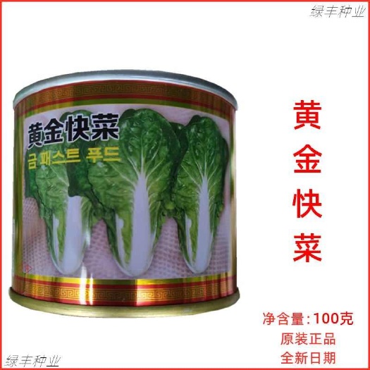 北京硕源黄金快菜种子生长快速抗热耐湿无毛春夏秋季苗用快菜种孑