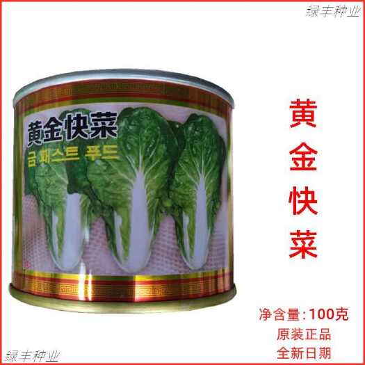 三明北京硕源黄金快菜种子生长快速抗热耐湿无毛春夏秋季苗用快菜种孑