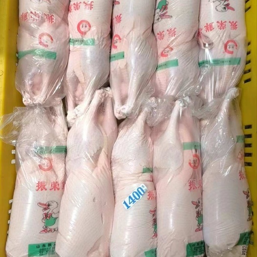 郑州白条鸭，大量现货