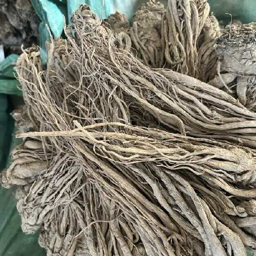 岷县岷县地道岷当归中药材滋补药材产地直发定西优质当归草本植物