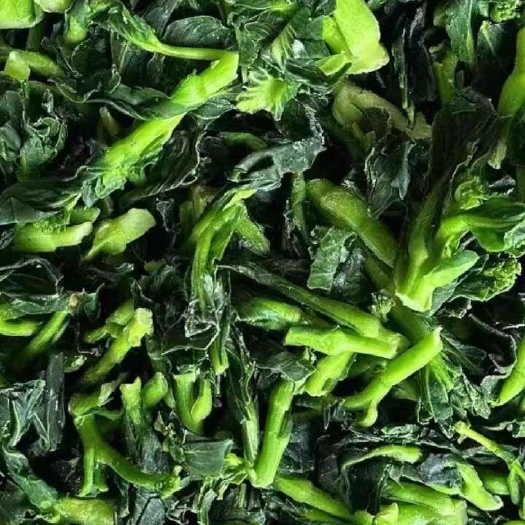 张家界板蓝根菜苔速冻菜