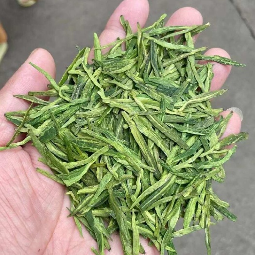 龙井工艺的茶叶，有龙井 43，龙井群体种，白茶龙井