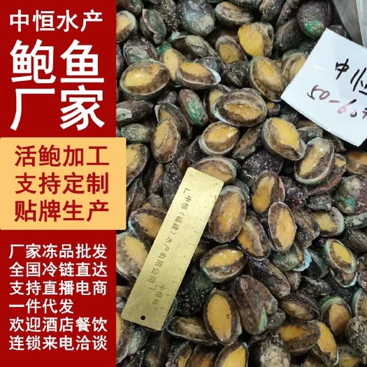 东山县鲍鱼 活动50-60头鲍鱼低温保鲜海鲜水产品厂家货源冻品批发