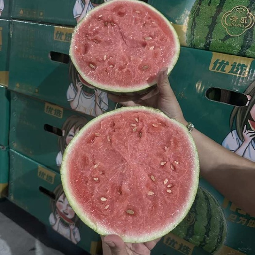 广东东莞无籽麒麟瓜 新鲜现摘 支持坏损包赔 其他运输方式