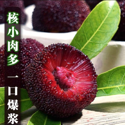 文成县东魁杨梅