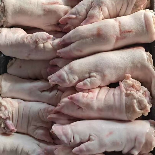菏泽母猪一二级混装去筋母猪蹄10吨20200