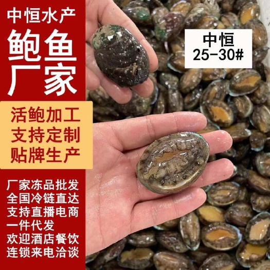 东山县活冻鲍鱼 新鲜速冻25-30头【鲍鱼厂家】一手货源 冻品批发