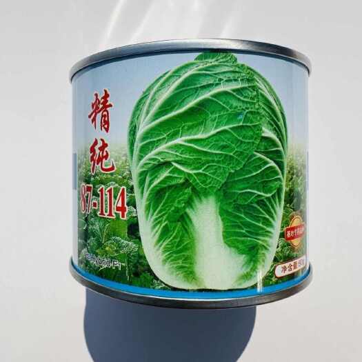 沭阳县青硕精纯87114大白菜种子基地专用品种秋季白菜种籽山东秋播