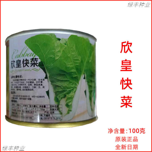北京硕源欣皇快菜种子早熟生长快速外叶嫩绿叶面厚无毛刺快菜种孑