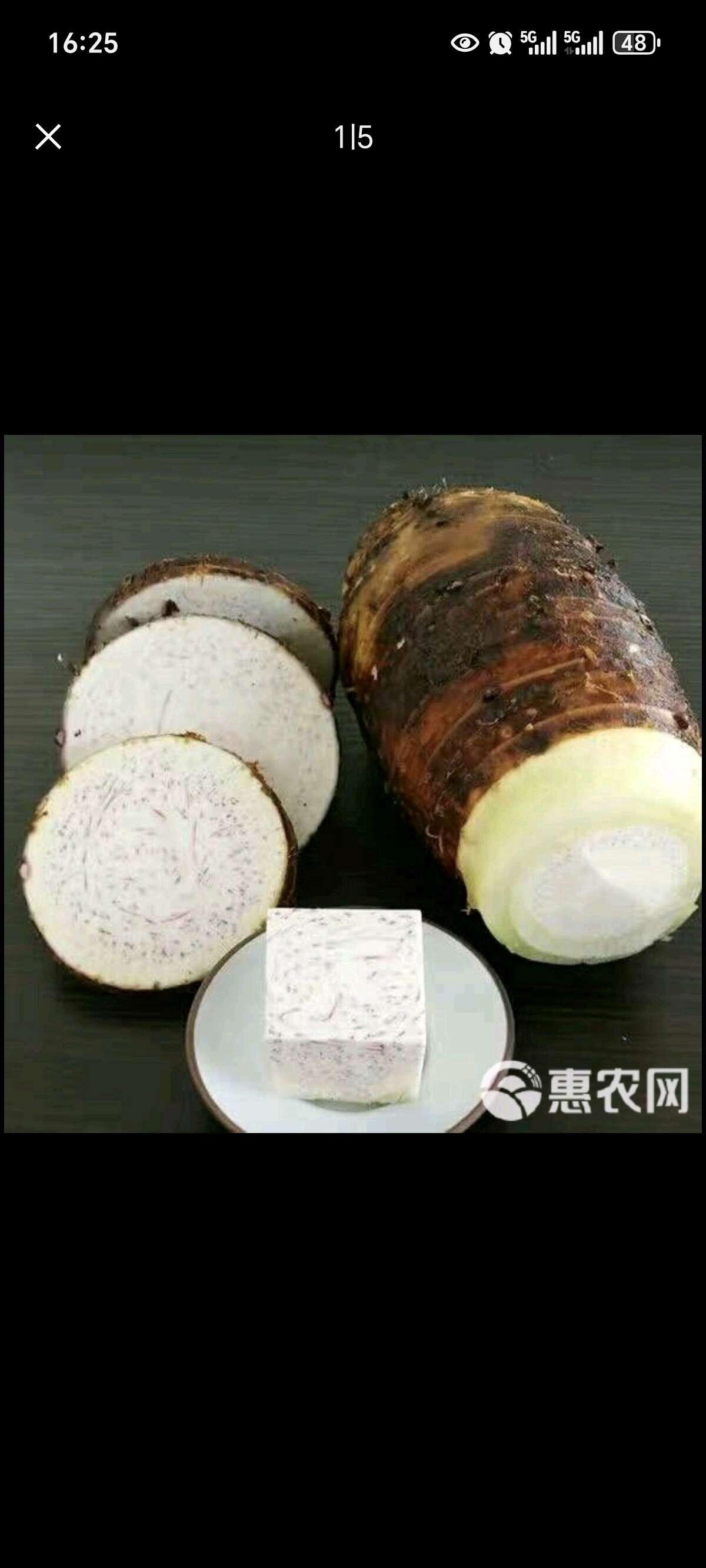 广西荔浦芋头香糯粉芋头槟榔芋单个重1.5斤到2斤