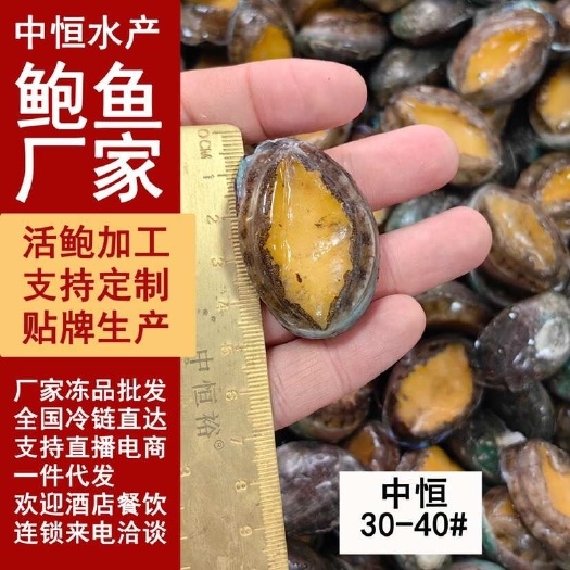 东山县鲜活速冻鲍鱼30-40头 鲍鱼工厂 供应海鲜水产冻品批发