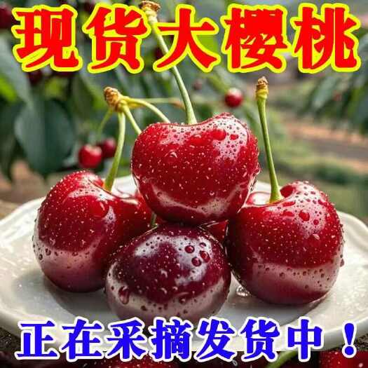 山东大连新鲜美早樱桃车厘子 直发全国优质核果