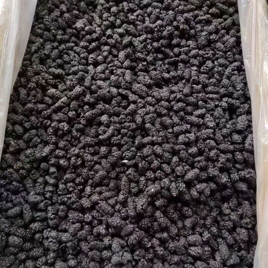 昆明桑葚干 优选桑椹干 支持一件代发  桑葚干大货供应