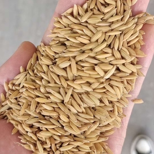 寻乌县江西赣州寻乌多用途禾谷饲料 适配鸡鸭鹅兔鸽鹌鹑喂养需求