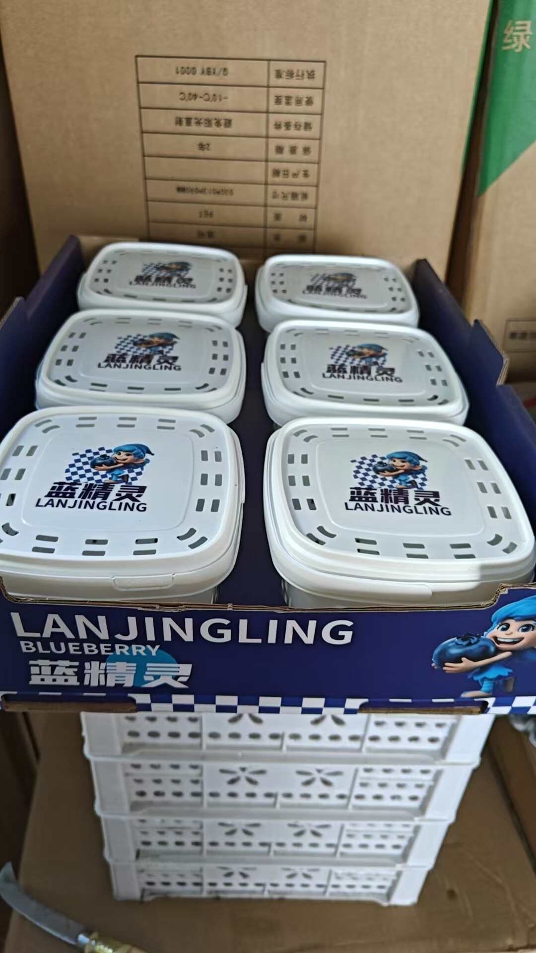 云南西班牙42蓝莓！带把品相，果粉精品，香槟口味