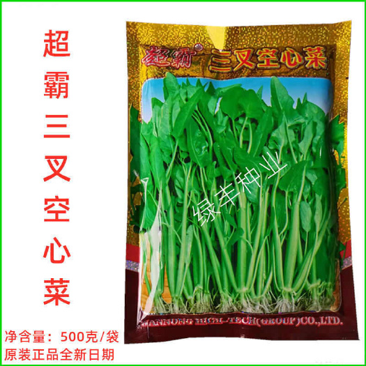 三明万农高科超霸三叉空心菜种子三梗空心菜蕹菜通菜春夏秋季蔬菜种孑