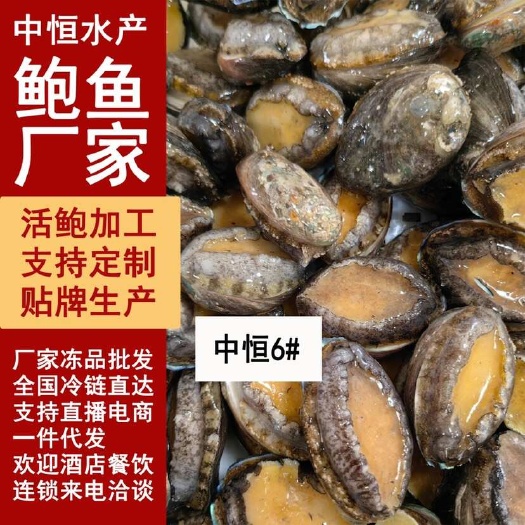 东山县活冻鲍鱼6头大鲍鱼供应酒店餐饮超市电商火锅连锁商用冻品批发
